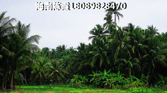 房屋貸款怎么辦理？海南房子貸款的注意事項？