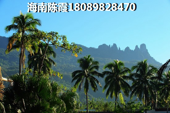 往后海南保亭的房子還能生紙嗎？