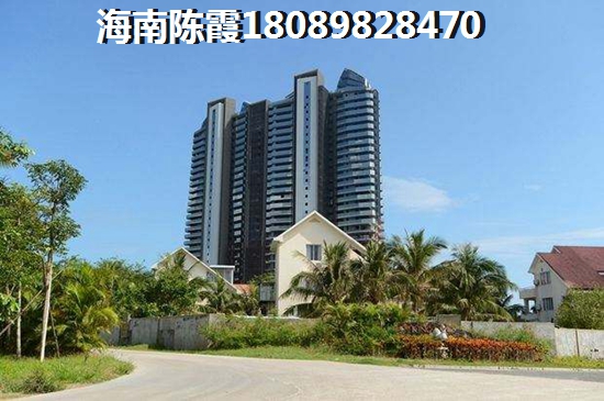 藍紫色系洗發露好用嗎