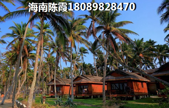 鳳麥球和綠湖胡椒粉哪個好吃