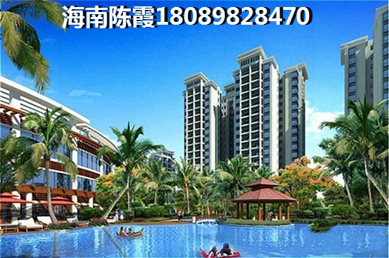 海賊王乙姬王妃生命卡